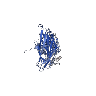 37695_8woq_B_v1-0
Cryo-EM structure of human SIDT1 protein with C1 symmetry at neutral pH