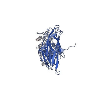 37696_8wor_A_v1-0
Cryo-EM structure of human SIDT1 protein with C2 symmetry at neutral pH