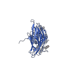 37696_8wor_B_v1-0
Cryo-EM structure of human SIDT1 protein with C2 symmetry at neutral pH