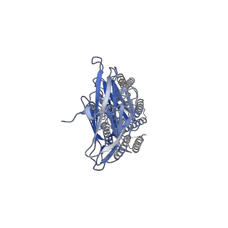 37697_8wos_A_v1-0
Cryo-EM structure of human SIDT1 protein with C1 symmetry at low pH