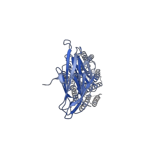 37698_8wot_A_v1-0
Cryo-EM structure of human SIDT1 protein with C2 symmetry at low pH