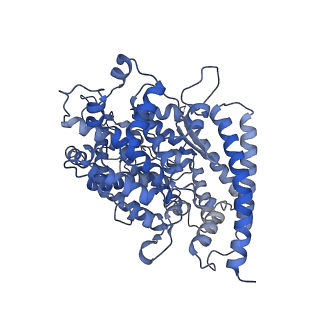 37701_8wox_A_v1-1
Cryo-EM structure of SARS-CoV-2 prototype RBD in complex with rabbit ACE2 (local refinement)