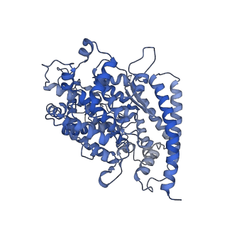 37701_8wox_A_v1-2
Cryo-EM structure of SARS-CoV-2 prototype RBD in complex with rabbit ACE2 (local refinement)