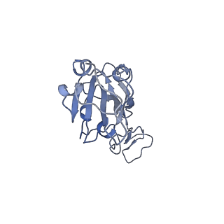 37701_8wox_B_v1-1
Cryo-EM structure of SARS-CoV-2 prototype RBD in complex with rabbit ACE2 (local refinement)
