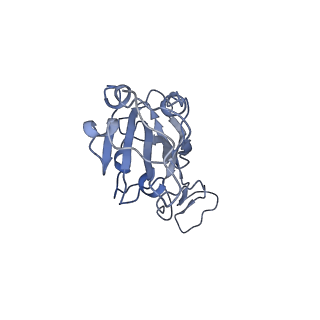 37701_8wox_B_v1-2
Cryo-EM structure of SARS-CoV-2 prototype RBD in complex with rabbit ACE2 (local refinement)