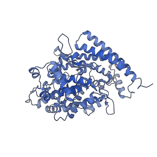 37702_8woy_A_v1-1
Cryo-EM structure of SARS-CoV-2 Omicron BA.4/5 RBD in complex with rabbit ACE2 (local refinement)
