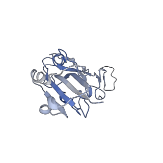 37702_8woy_B_v1-1
Cryo-EM structure of SARS-CoV-2 Omicron BA.4/5 RBD in complex with rabbit ACE2 (local refinement)