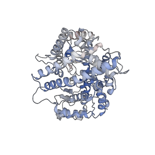37703_8woz_A_v1-1
Cryo-EM structure of SARS-CoV RBD in complex with rabbit ACE2