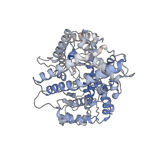 37703_8woz_A_v1-2
Cryo-EM structure of SARS-CoV RBD in complex with rabbit ACE2