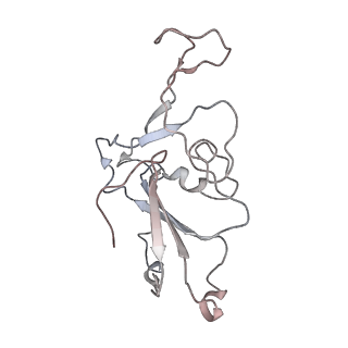 37703_8woz_B_v1-1
Cryo-EM structure of SARS-CoV RBD in complex with rabbit ACE2
