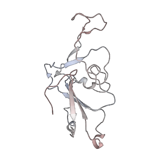 37703_8woz_B_v1-2
Cryo-EM structure of SARS-CoV RBD in complex with rabbit ACE2