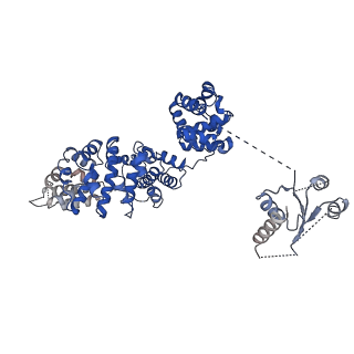 21863_6wpk_A_v1-1
SARM1 Autoinhibited Conformation