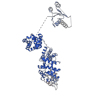 21863_6wpk_C_v1-1
SARM1 Autoinhibited Conformation