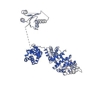 21863_6wpk_D_v1-1
SARM1 Autoinhibited Conformation