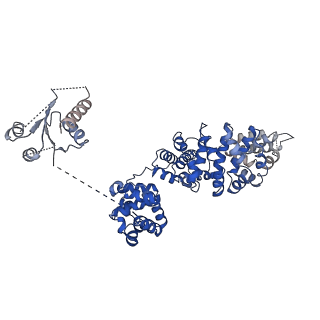 21863_6wpk_E_v1-1
SARM1 Autoinhibited Conformation