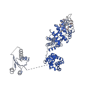 21863_6wpk_F_v1-1
SARM1 Autoinhibited Conformation