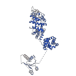 21863_6wpk_G_v1-1
SARM1 Autoinhibited Conformation