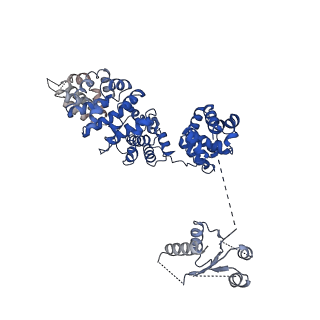 21863_6wpk_H_v1-1
SARM1 Autoinhibited Conformation