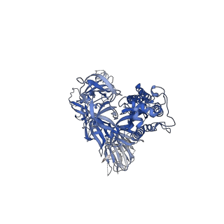 21864_6wps_A_v1-1
Structure of the SARS-CoV-2 spike glycoprotein in complex with the S309 neutralizing antibody Fab fragment