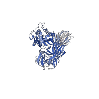 21864_6wps_B_v1-1
Structure of the SARS-CoV-2 spike glycoprotein in complex with the S309 neutralizing antibody Fab fragment