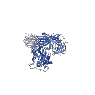 21864_6wps_E_v1-1
Structure of the SARS-CoV-2 spike glycoprotein in complex with the S309 neutralizing antibody Fab fragment