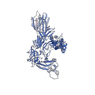 21865_6wpt_A_v1-1
Structure of the SARS-CoV-2 spike glycoprotein in complex with the S309 neutralizing antibody Fab fragment (open state)