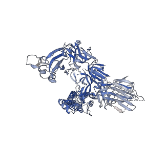 21865_6wpt_C_v1-1
Structure of the SARS-CoV-2 spike glycoprotein in complex with the S309 neutralizing antibody Fab fragment (open state)
