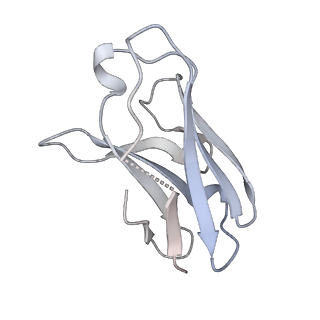 21865_6wpt_E_v1-1
Structure of the SARS-CoV-2 spike glycoprotein in complex with the S309 neutralizing antibody Fab fragment (open state)