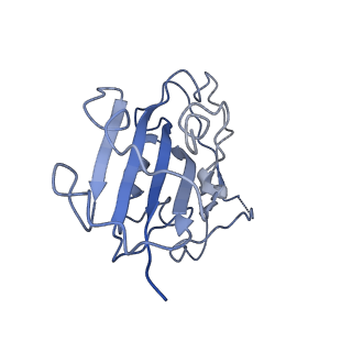 32665_7wp0_F_v1-0
Cryo-EM structure of SARS-CoV-2 Delta S6P trimer in complex with neutralizing antibody VacW-209 (local refinement)
