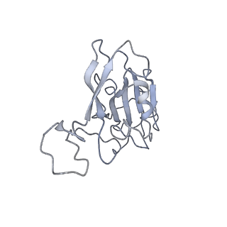 32666_7wp1_F_v1-0
Cryo-EM structure of SARS-CoV-2 Mu S6P trimer in complex with neutralizing antibody VacW-209 (local refinement)