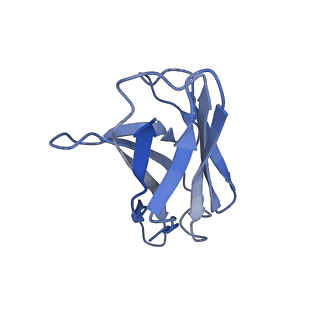 32667_7wp2_L_v1-0
Cryo-EM structure of SARS-CoV-2 C.1.2 S6P trimer in complex with neutralizing antibody VacW-209 (local refinement)