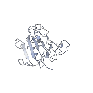 32669_7wp5_F_v1-0
Cryo-EM structure of SARS-CoV-2 Omicron S6P trimer in complex with neutralizing antibody VacW-209 (local refinement)