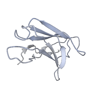 32669_7wp5_L_v1-0
Cryo-EM structure of SARS-CoV-2 Omicron S6P trimer in complex with neutralizing antibody VacW-209 (local refinement)