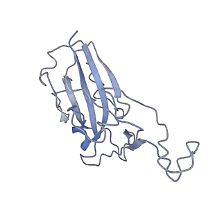 32676_7wp6_F_v1-1
Cryo-EM structure of SARS-CoV-2 recombinant spike protein STFK in complex with three neutralizing antibodies