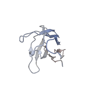 32676_7wp6_I_v1-1
Cryo-EM structure of SARS-CoV-2 recombinant spike protein STFK in complex with three neutralizing antibodies