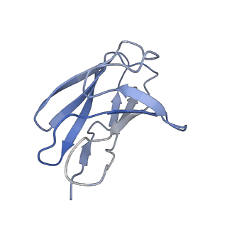 32676_7wp6_L_v1-1
Cryo-EM structure of SARS-CoV-2 recombinant spike protein STFK in complex with three neutralizing antibodies