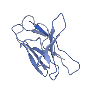 32678_7wp8_C_v1-1
Cryo-EM structure of SARS-CoV-2 recombinant spike protein STFK1628x in complex with three neutralizing antibodies
