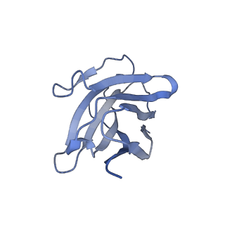 32678_7wp8_E_v1-1
Cryo-EM structure of SARS-CoV-2 recombinant spike protein STFK1628x in complex with three neutralizing antibodies