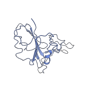 32678_7wp8_F_v1-1
Cryo-EM structure of SARS-CoV-2 recombinant spike protein STFK1628x in complex with three neutralizing antibodies