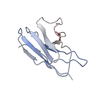 32678_7wp8_L_v1-1
Cryo-EM structure of SARS-CoV-2 recombinant spike protein STFK1628x in complex with three neutralizing antibodies