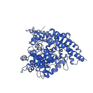 32686_7wpo_A_v1-4
Structure of NeoCOV RBD binding to Bat37 ACE2