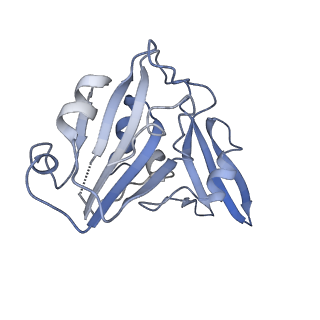32686_7wpo_B_v1-4
Structure of NeoCOV RBD binding to Bat37 ACE2