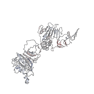 32690_7wps_A_v1-1
Cryo-EM structure of VWF D'D3 dimer complexed with D1D2 at 4.3 angstron resolution (7 units)