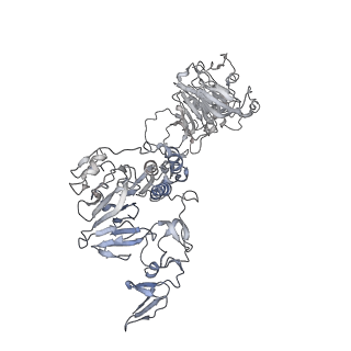 32690_7wps_B_v1-1
Cryo-EM structure of VWF D'D3 dimer complexed with D1D2 at 4.3 angstron resolution (7 units)