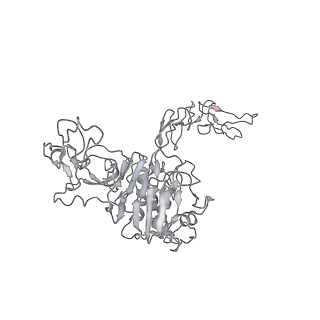 32690_7wps_C_v1-1
Cryo-EM structure of VWF D'D3 dimer complexed with D1D2 at 4.3 angstron resolution (7 units)