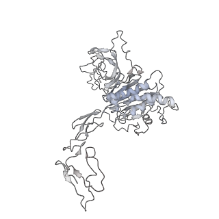 32690_7wps_D_v1-1
Cryo-EM structure of VWF D'D3 dimer complexed with D1D2 at 4.3 angstron resolution (7 units)