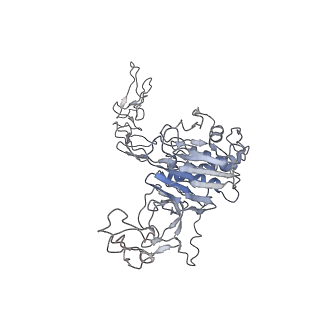 32690_7wps_F_v1-1
Cryo-EM structure of VWF D'D3 dimer complexed with D1D2 at 4.3 angstron resolution (7 units)