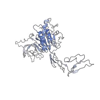 32690_7wps_H_v1-1
Cryo-EM structure of VWF D'D3 dimer complexed with D1D2 at 4.3 angstron resolution (7 units)