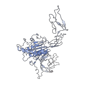 32690_7wps_L_v1-1
Cryo-EM structure of VWF D'D3 dimer complexed with D1D2 at 4.3 angstron resolution (7 units)