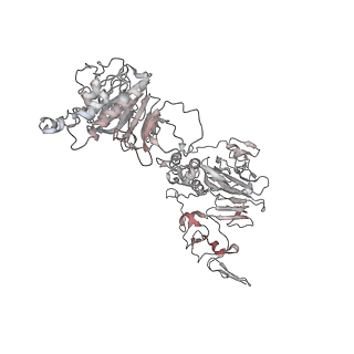 32690_7wps_M_v1-1
Cryo-EM structure of VWF D'D3 dimer complexed with D1D2 at 4.3 angstron resolution (7 units)